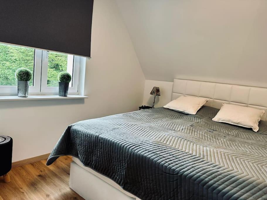 Moderne Ferienwohnung Zweifall Stolberg  Exteriör bild